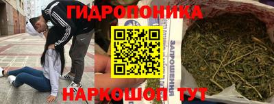 прущие грибы Чапаевск