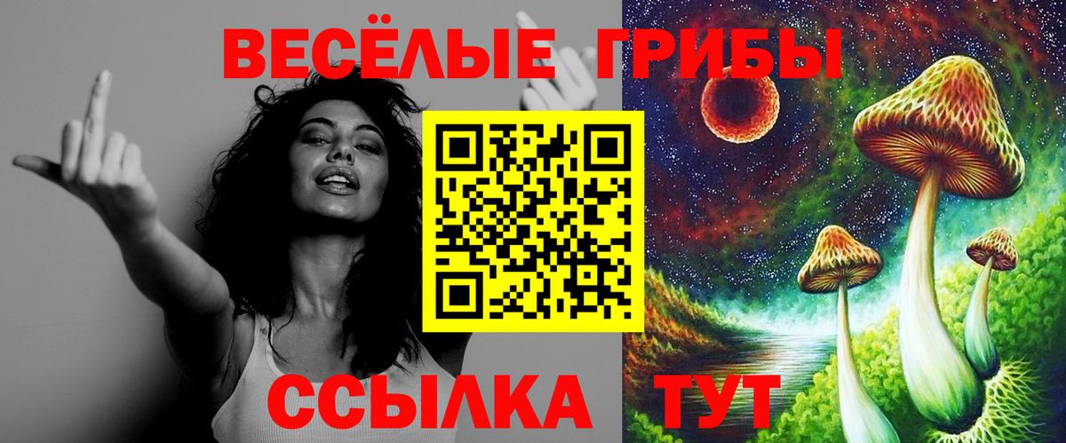 Псилоцибиновые грибы Psilocybe  Псилоцибиновые грибы GOLDEN TEACHER  Владимир  Вход с VPN 