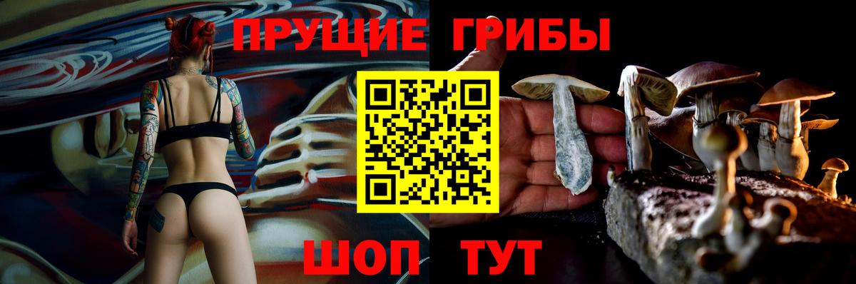 Галлюциногенные грибы Cubensis Владимир