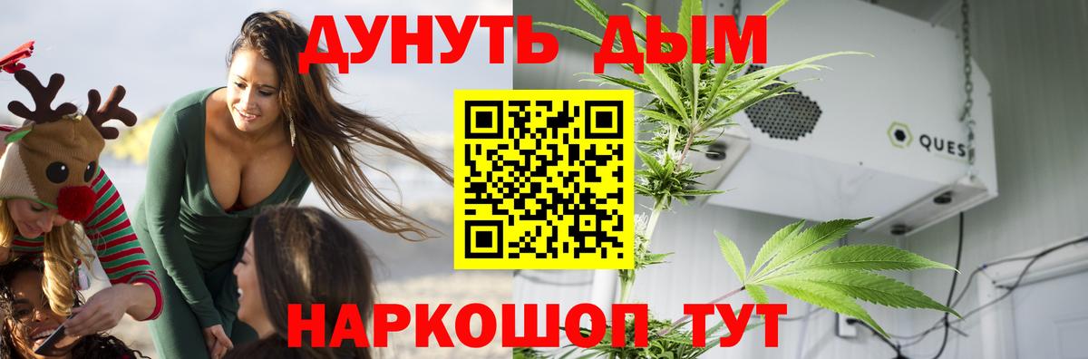 Марихуана сатива  Марихуана Amnesia  Владимир  Конопля Bruce Banner  Вход с VPN  Шишки марихуана Ganja 